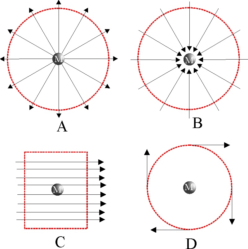 Resultado de imagen para vector escalar ejemplos